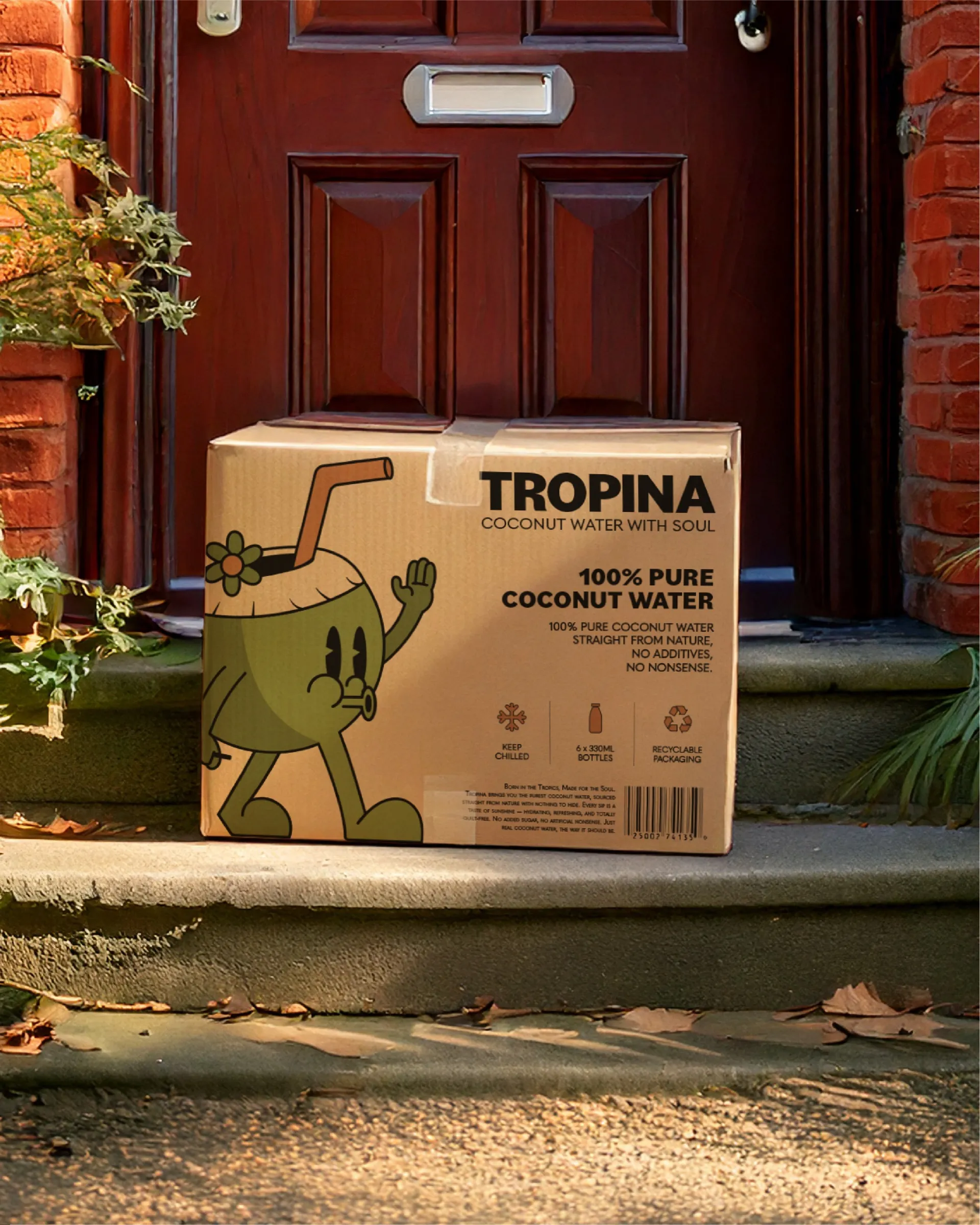 Concept mockup: a Tropina delivery box on a doorstep (Adobe Firefly scene)